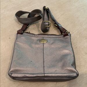 Fossil Shimmering Gray Crossbody Bag